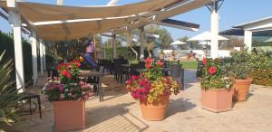 a group of potted flowers in pots under a canopy at Hotel Corallo in Fregene
