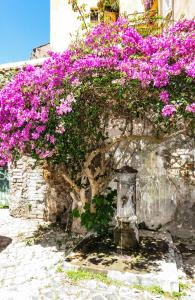 A garden outside Casa del Moro - romantic loft in Trastevere