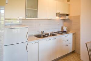 Kuchyňa alebo kuchynka v ubytovaní Apartments Ana S