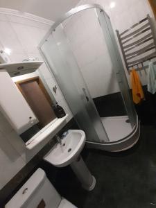 a bathroom with a sink and a toilet and a mirror at 2-x Apartments Center Wi-Fi около Площади in Chernihiv