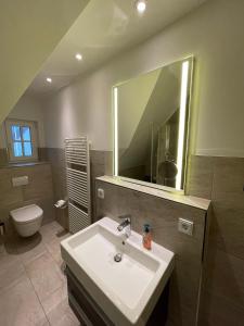 a bathroom with a sink and a mirror and a toilet at Mueggenburger Weg 46 Wohnung 3 Auszeit in Groß Kirr