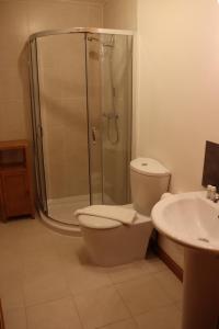 a bathroom with a shower and a toilet and a sink at Lodge 37 Rowardennan, Loch Lomond in Glasgow +3 photos
