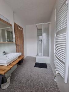 La salle de bains est pourvue d'un lavabo blanc et d'une douche. dans l'établissement Pension Bergfried, à Hallstatt