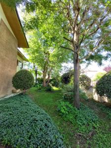 un patio con árboles, una casa y una acera en B&b rustic chic Casa Salva, en Molinella