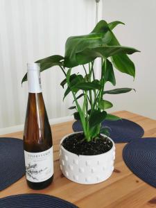 Nápoje v ubytovaní Apartament Redłowo