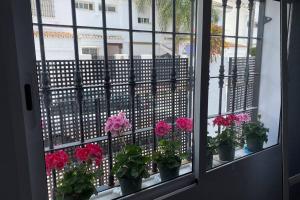 une fenêtre avec un bouquet de fleurs en pot dans l'établissement STUDIO -PATIO ANDALUZ-, à Marbella 32 autres photos
