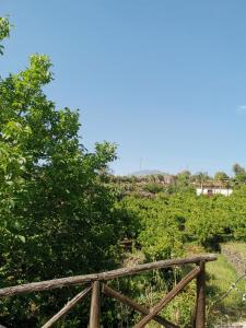 Príroda v okolí of the country house