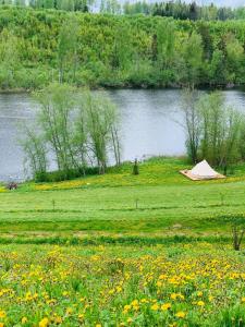 ein Zelt auf einem Feld neben einem Wasserkörper in der Unterkunft Murimäe Winery glamping in Otepää