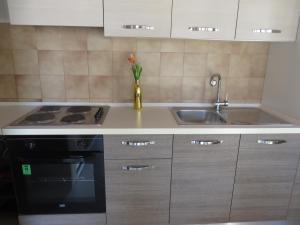 Kuchyňa alebo kuchynka v ubytovaní Apartments Amfa