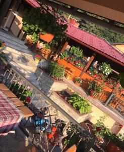 Φωτογραφία από το άλμπουμ του Restoran sa sobama za iznajmljivanje MALI RAJ σε Mrkonjic Grad