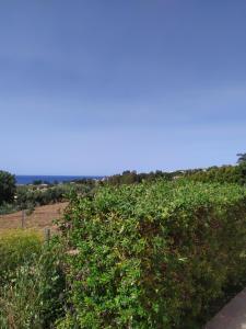 Paesaggio naturale nelle vicinanze della villa
