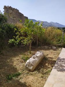 Paesaggio naturale nelle vicinanze della villa