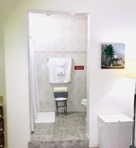 a bathroom with a toilet and a towel hanging on the wall at Villa Altiery Puerto Rico in Caguas