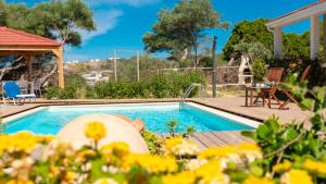 Bazén v ubytování Zizi Sea View Villa nebo v jeho okolí + 33 fotografií
