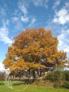 Příroda nedaleko prázdninového domu