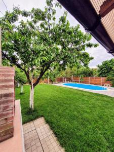 a tree in a yard with a swimming pool at LA CASSA in Timişoara