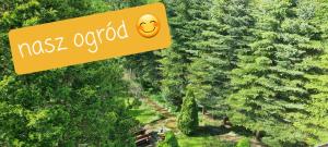 Przyroda w pobliżu tego pensjonatu