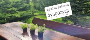 Ogród w obiekcie Villa Veronika