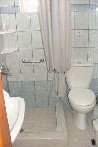 a bathroom with a toilet and a shower at Central Studio 1 in Heraklio