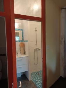 a bathroom with a shower and a sink and a mirror at L'Angelique in Bouillé-Courdault +13 photos