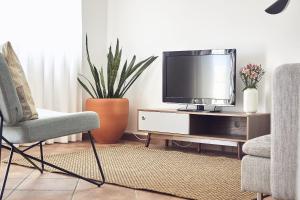 sala de estar con TV, silla y plantas en Casas Sul en Burgau