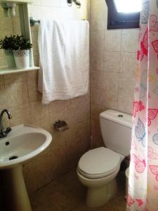 ポリフロノにあるVilla Mariaのバスルーム(白いトイレ、シンク付)