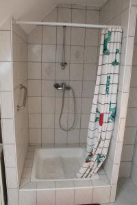 e bagno con doccia e vasca. di Erzsébet Vendégház a Csesznek