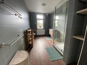 y baño con ducha, aseo y lavamanos. en BERGLAGE - Das UrlaubZuhause, en Braunlage