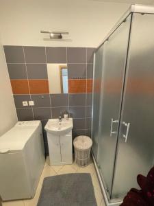 une salle de bain avec une douche, des toilettes et un lavabo dans l'établissement Stylový byt v mikroregionu Šternbersko Uničovsko, à Paseka 20 autres photos