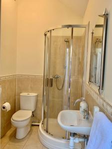 a bathroom with a shower and a toilet and a sink at Willow House in Hereford