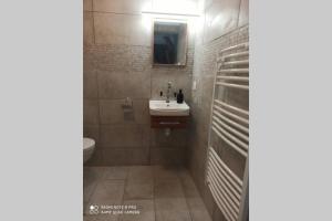 y baño con lavabo y aseo. en Gîte Le Tico en Cheverny