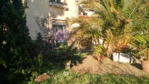 a garden with palm trees and plants in front of a building at MAISON MARTINOT in Samadet