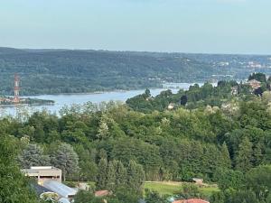 uma vista para um rio a partir de uma colina com árvores em Bellavista Lake Apartment em Pisano