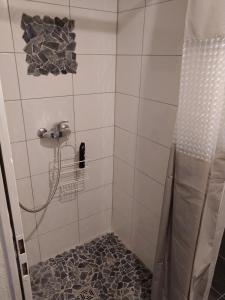 ein Bad mit einer Dusche und Fliesenboden in der Unterkunft Charmante maison au coeur du Lavaux, Cully, cuisine, WiFi, Les Echalas in Cully VD