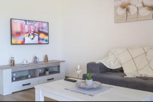 TV a/nebo společenská místnost v ubytování Aqualux apartments