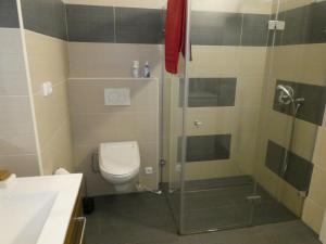 une salle de bain avec une douche avec des toilettes et un lavabo dans l'établissement Apartmán Mařenka, à Nové Město na Moravě 7 autres photos