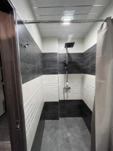 a shower with a glass door in a bathroom at COMFORTABLE APARTMENT КОМФОРТНЫЕ АПАРТАМЕНТЫ Self Check In in Yerevan +48 photos
