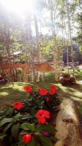 a garden with red flowers and a swing at Recanto Della Mata in Venda Nova do Imigrante