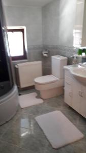 a bathroom with a toilet and a sink at Sweet Holiday Home in Hadžići +61 photos