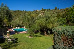 a garden with a tree and a swimming pool at Evridiki's Villas in Agios Nikitas