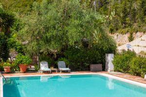 a swimming pool with two chairs and a tree at Evridiki's Villas in Agios Nikitas