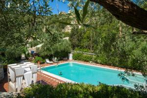 a swimming pool with two chairs and a tree at Evridiki's Villas in Agios Nikitas