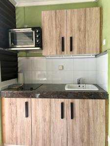 Kuchyň nebo kuchyňský kout v ubytování Studios Becassine et Tangara Domaine de Belfond St Anne