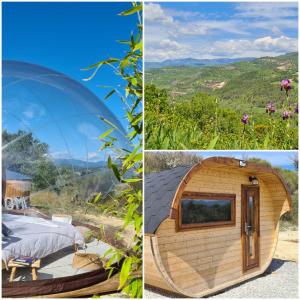 a frame cabin with a glass dome and a bed in a forest at Hébergements insolites - Détente en Luberon in Viens