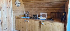 cocina con fregadero y pared de madera en Hébergements insolites - Détente en Luberon en Viens