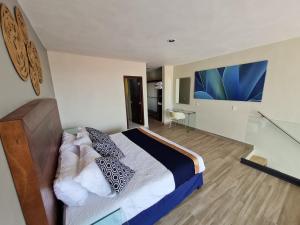 TV a/nebo společenská místnost v ubytování Casa Arandas Hotel - Suits
