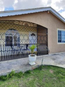 une maison avec un portail et une usine devant elle dans l'établissement Rick's Reggae Villa, à Montego Bay