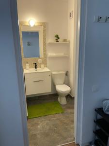 een badkamer met een toilet, een wastafel en een spiegel bij ConfortMax in Baia Mare