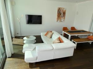 TV a/nebo společenská místnost v ubytování Weingut-Aparthotel Olinger