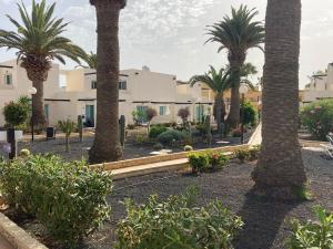 a row of palm trees in front of a building at Alisios Dream in Corralejo